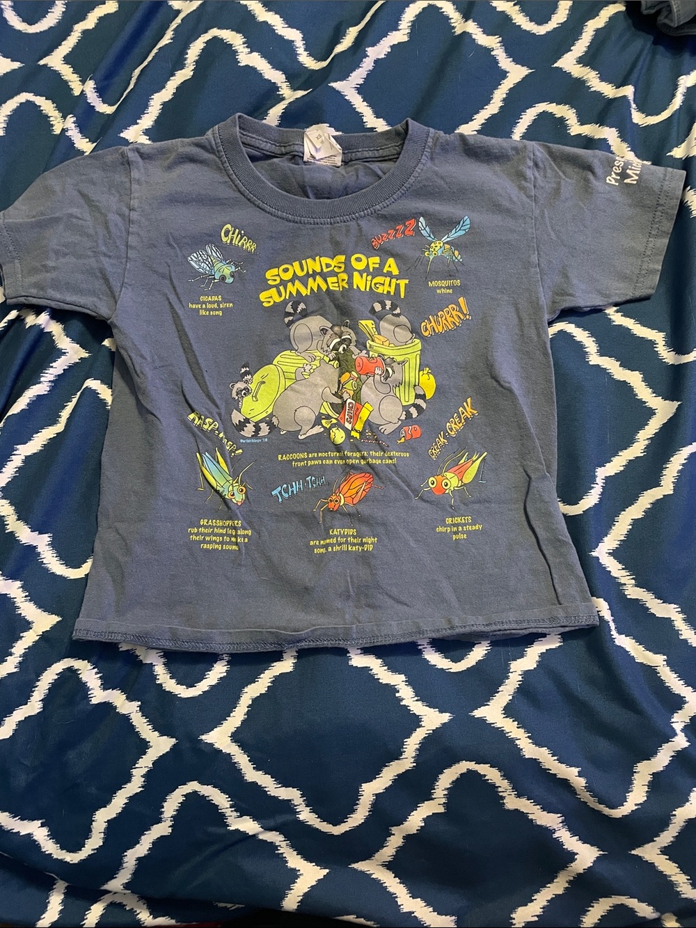 Kids Navy 'Sounds of a Summer Night' Graphic Tee